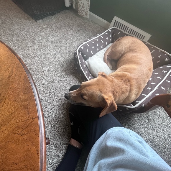 Meet your Posher, Rebecca - Picture 4 of 5